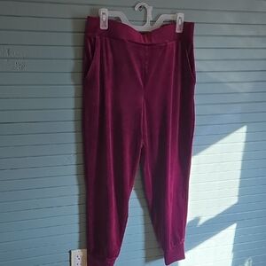 Cable & Gauge Velvet Joggers in Deep Burgundy